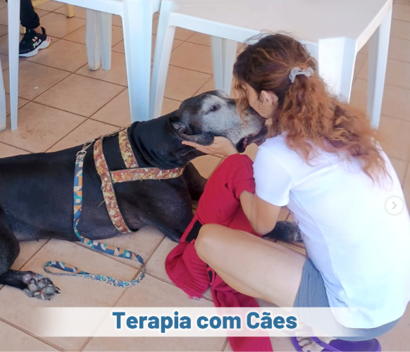 Terapia com Cães: Conexão e Cura na Saúde Mental